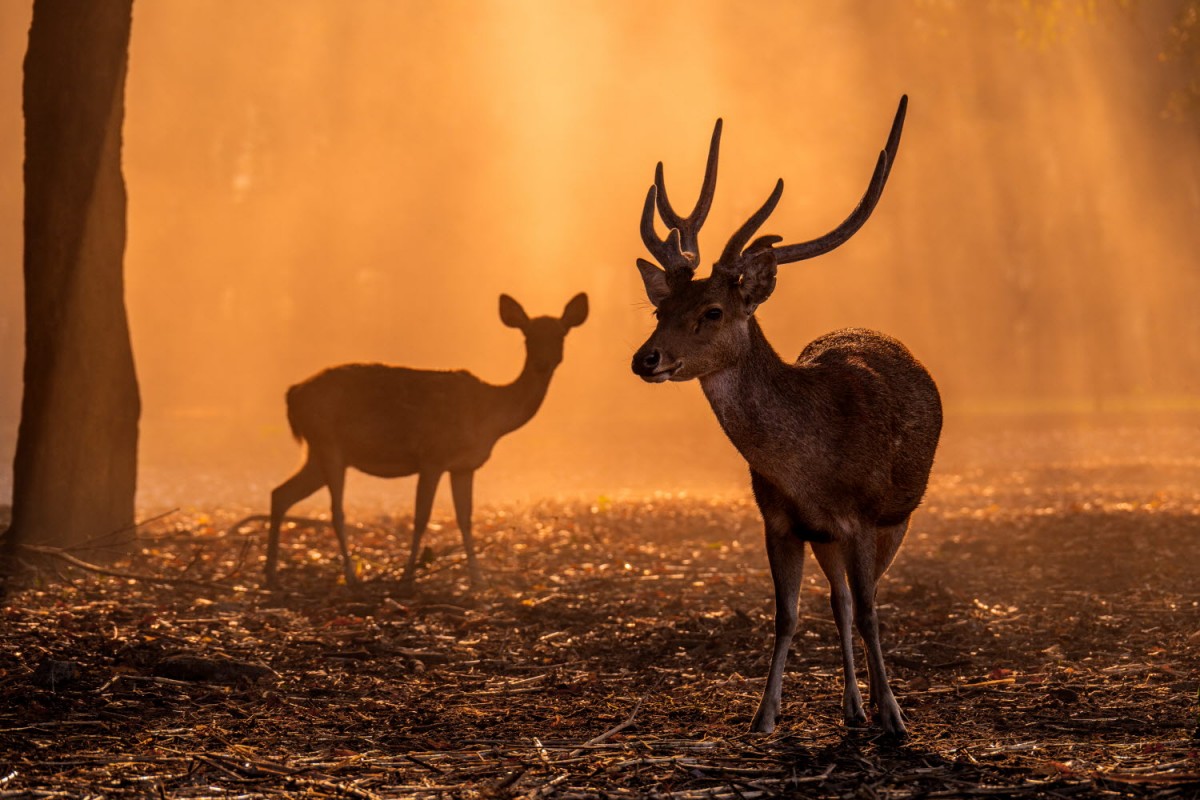 66e43706b64861e835326dbcfdfc9571_1759422