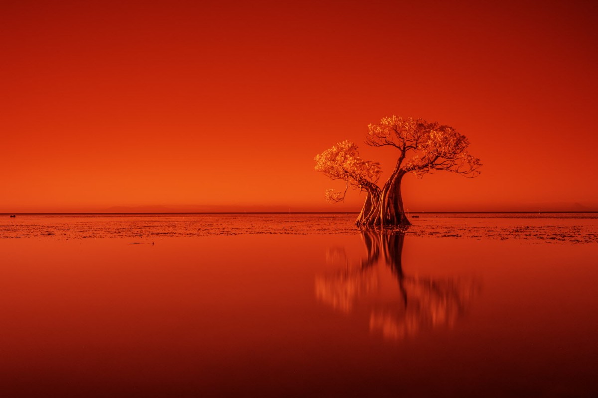 66e43706b64861e835326dbcfdfc9571_1759422