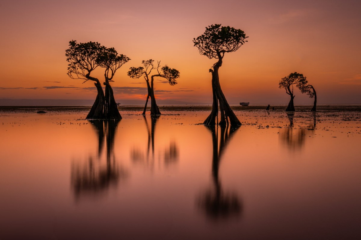 66e43706b64861e835326dbcfdfc9571_1759422