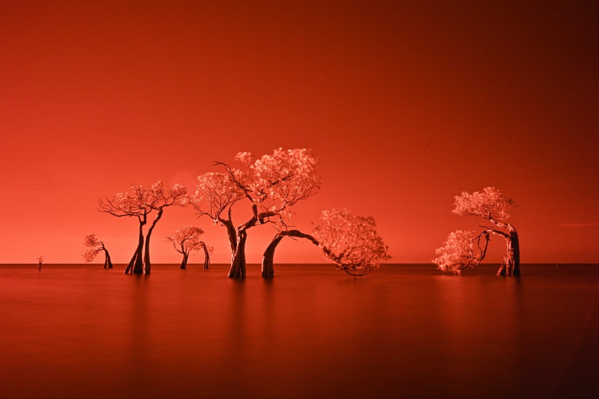 66e43706b64861e835326dbcfdfc9571_1759422