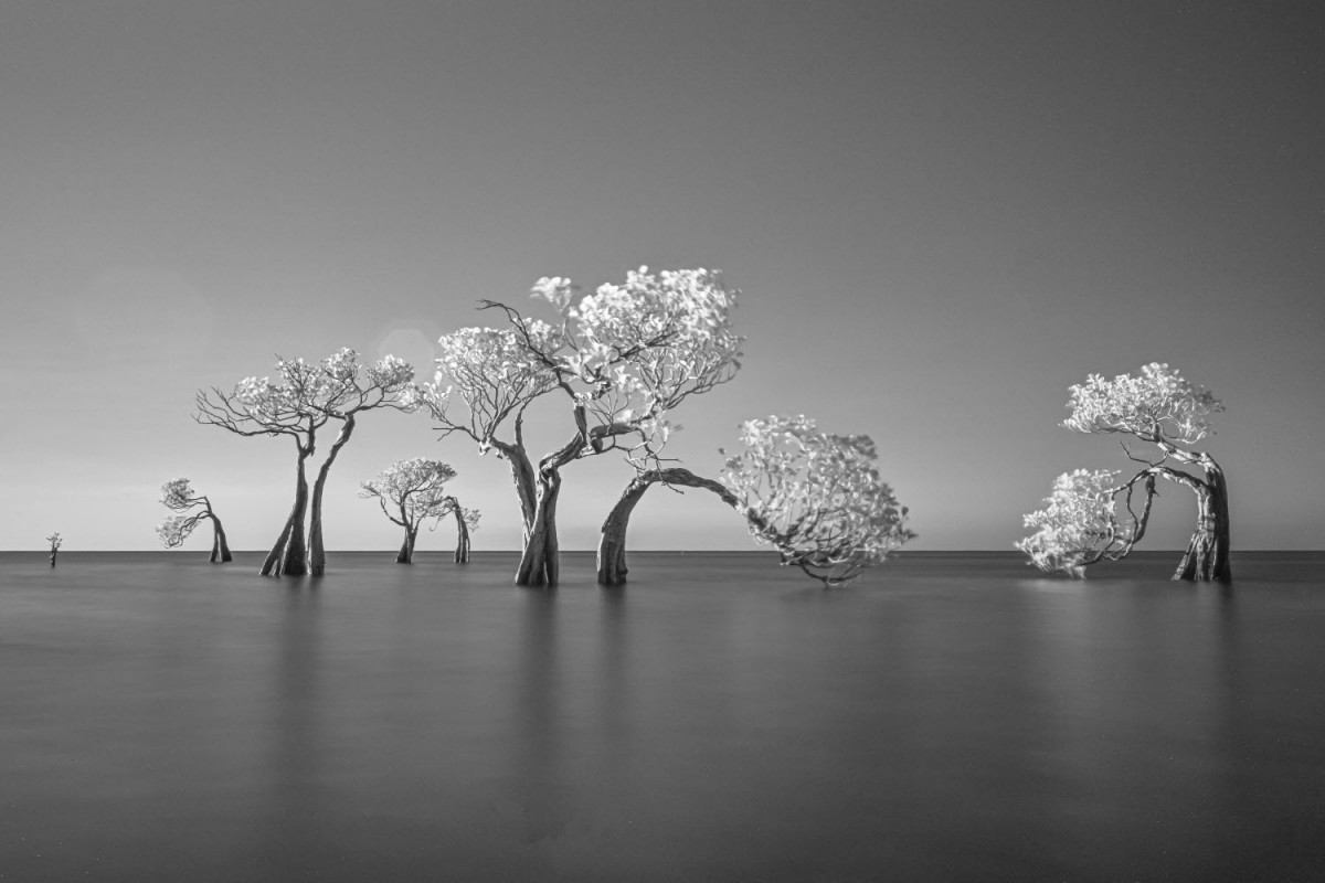 66e43706b64861e835326dbcfdfc9571_1759423