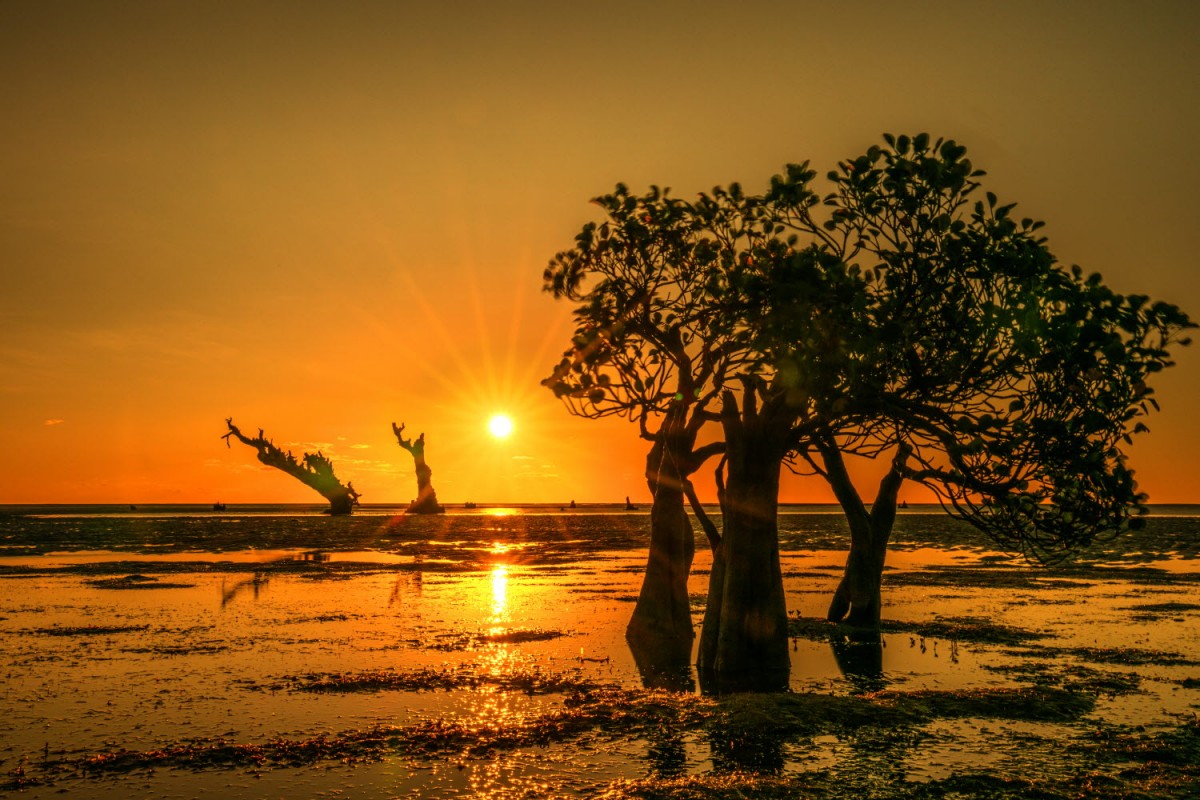 66e43706b64861e835326dbcfdfc9571_1759437