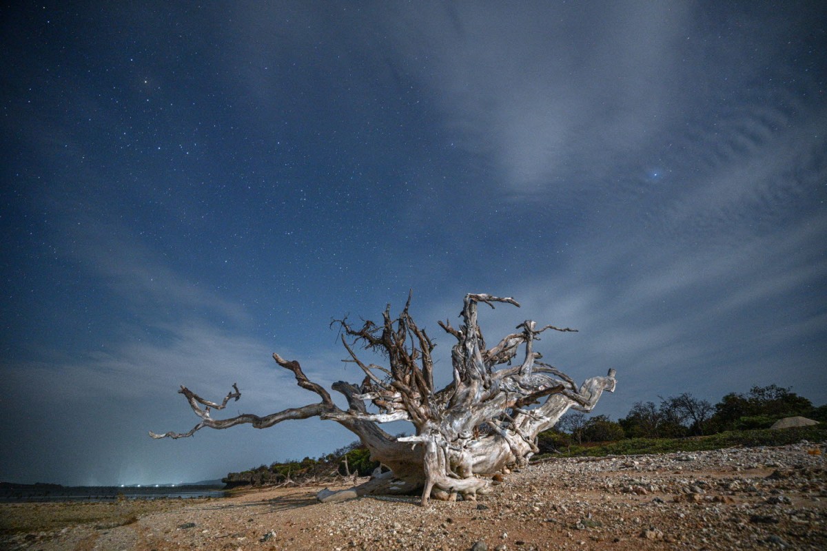 66e43706b64861e835326dbcfdfc9571_1759437