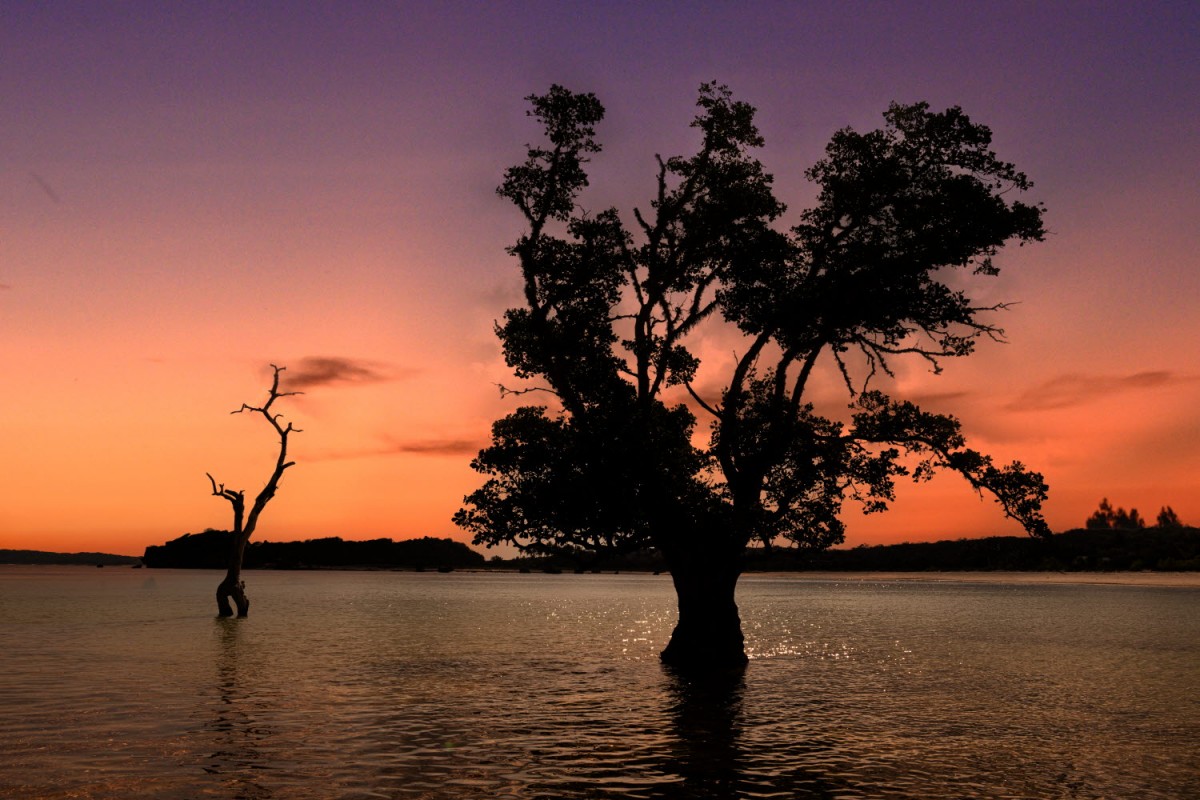 66e43706b64861e835326dbcfdfc9571_1759437