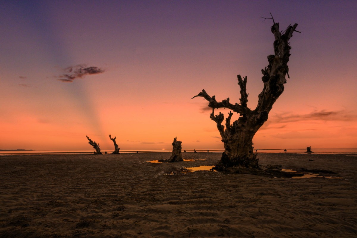 66e43706b64861e835326dbcfdfc9571_1759437