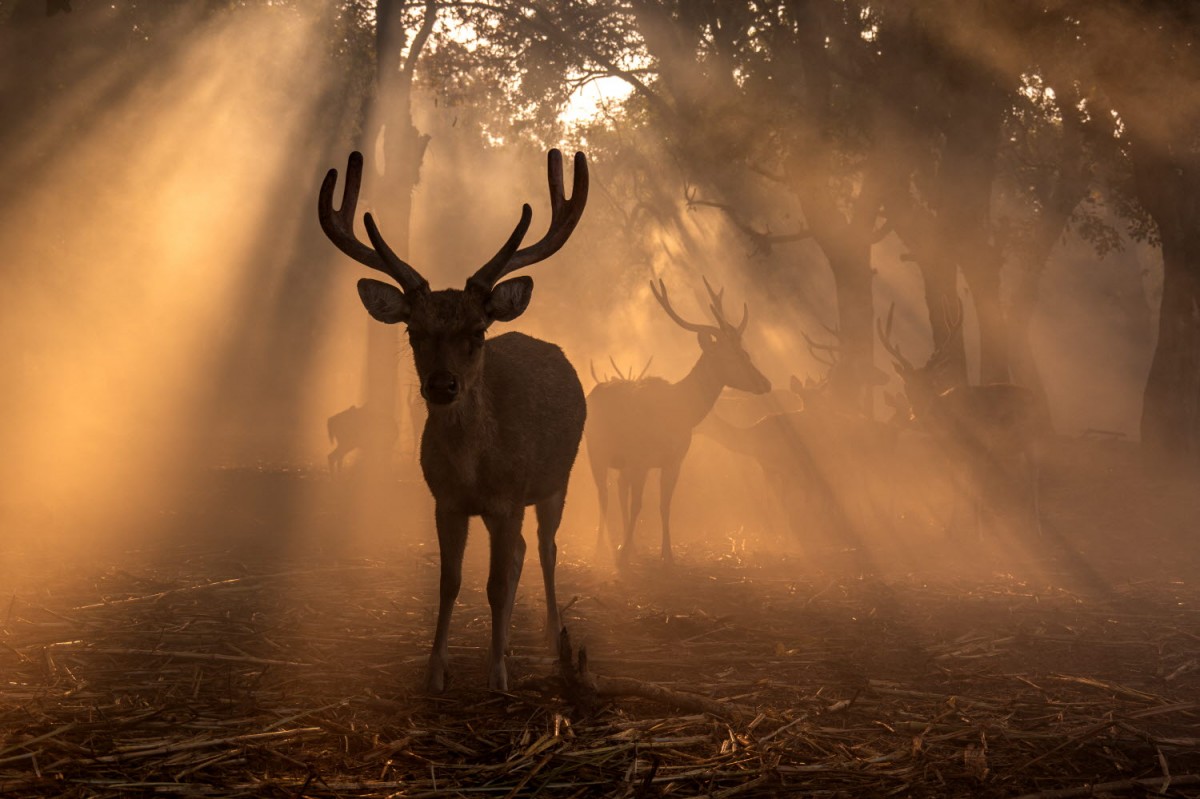 a899c22b7665293c0961f218f8e5df9a_1759496