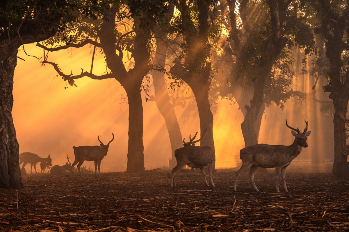 a899c22b7665293c0961f218f8e5df9a_1759502