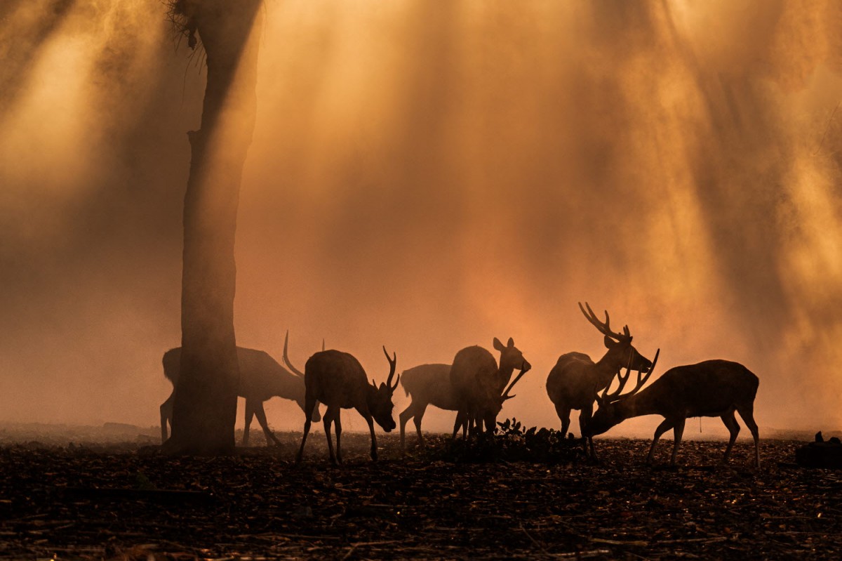 a899c22b7665293c0961f218f8e5df9a_1759502