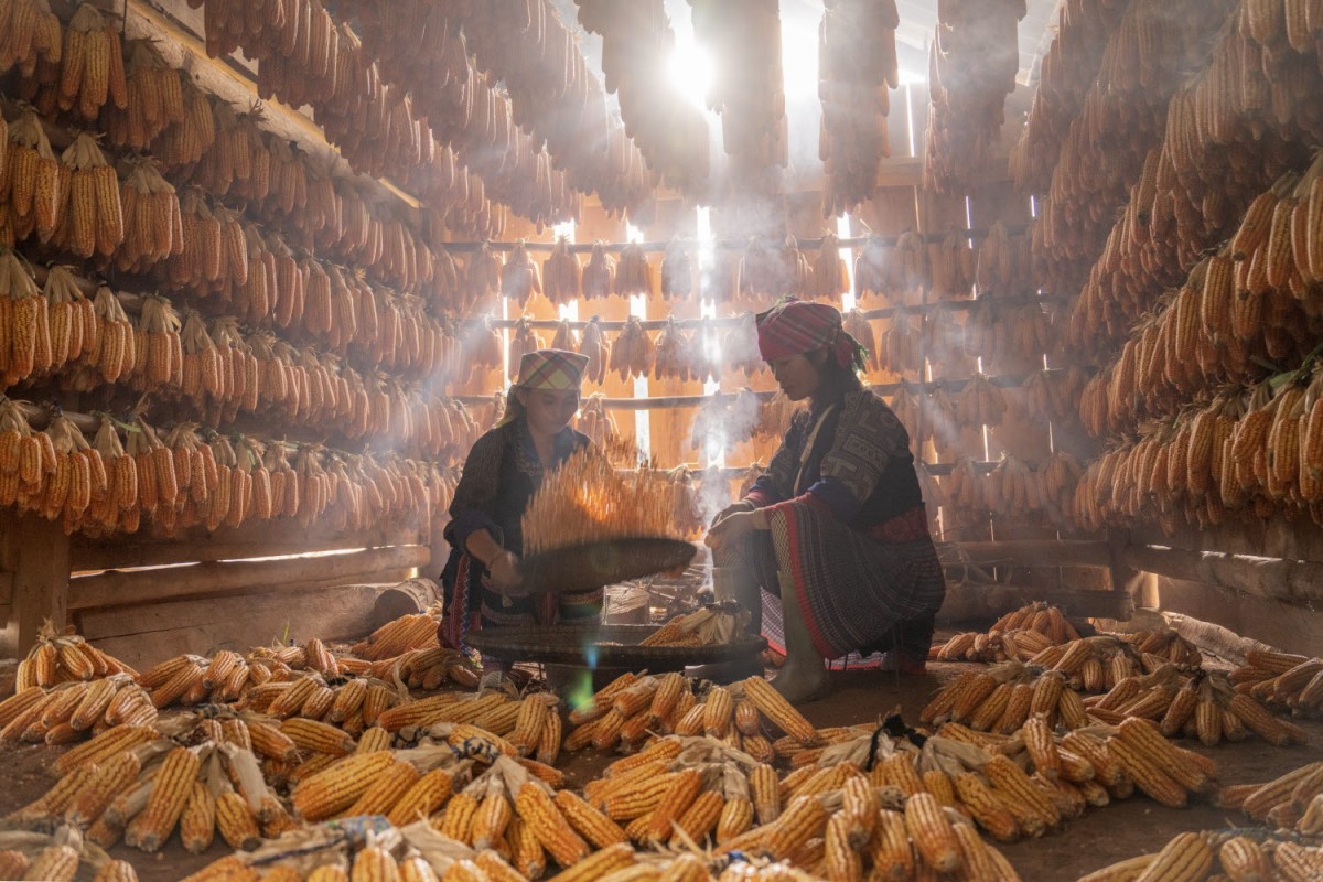 429c86956dd92a515ba6f622949a5ea6_1770924