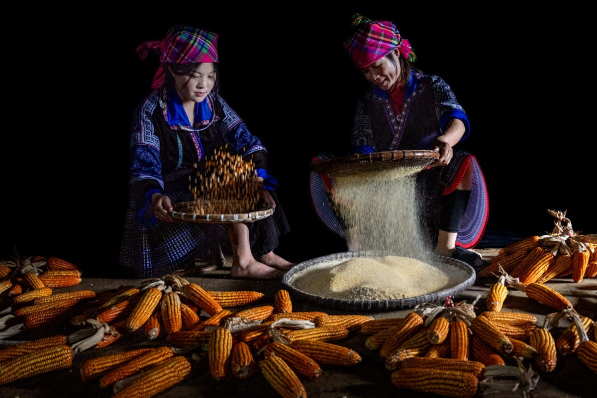 429c86956dd92a515ba6f622949a5ea6_1770924