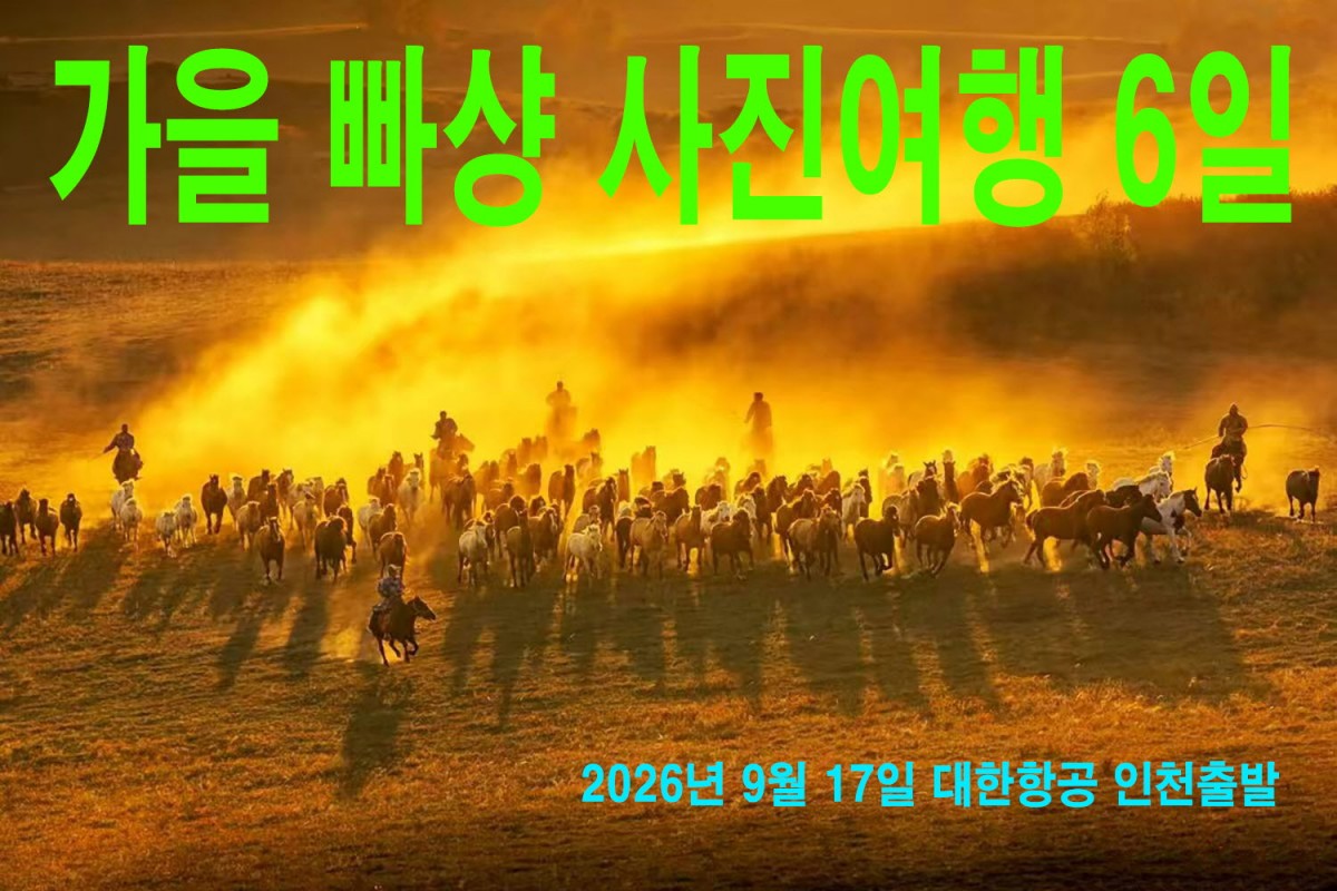 0774f81c89e944faff366815b027fc65_1772526