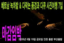 베트남 녹차밭 & 다락논 풍경…