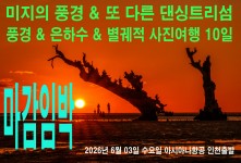 출발확정 댄싱트리 투