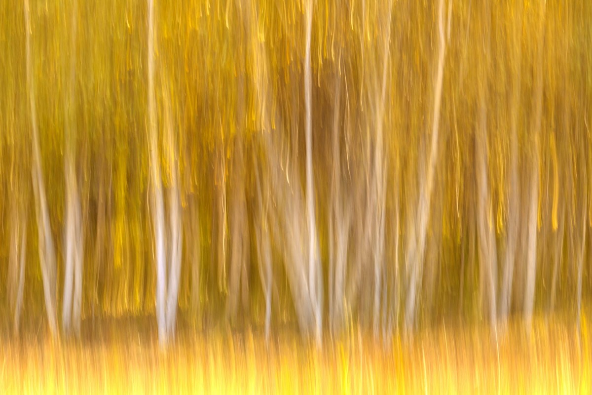 76b63a5c087bf0f90a562478afb0f484_1772471