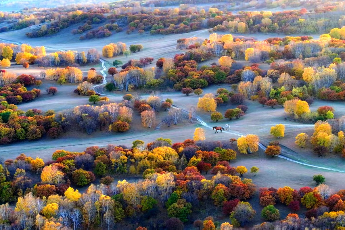 76b63a5c087bf0f90a562478afb0f484_1772471