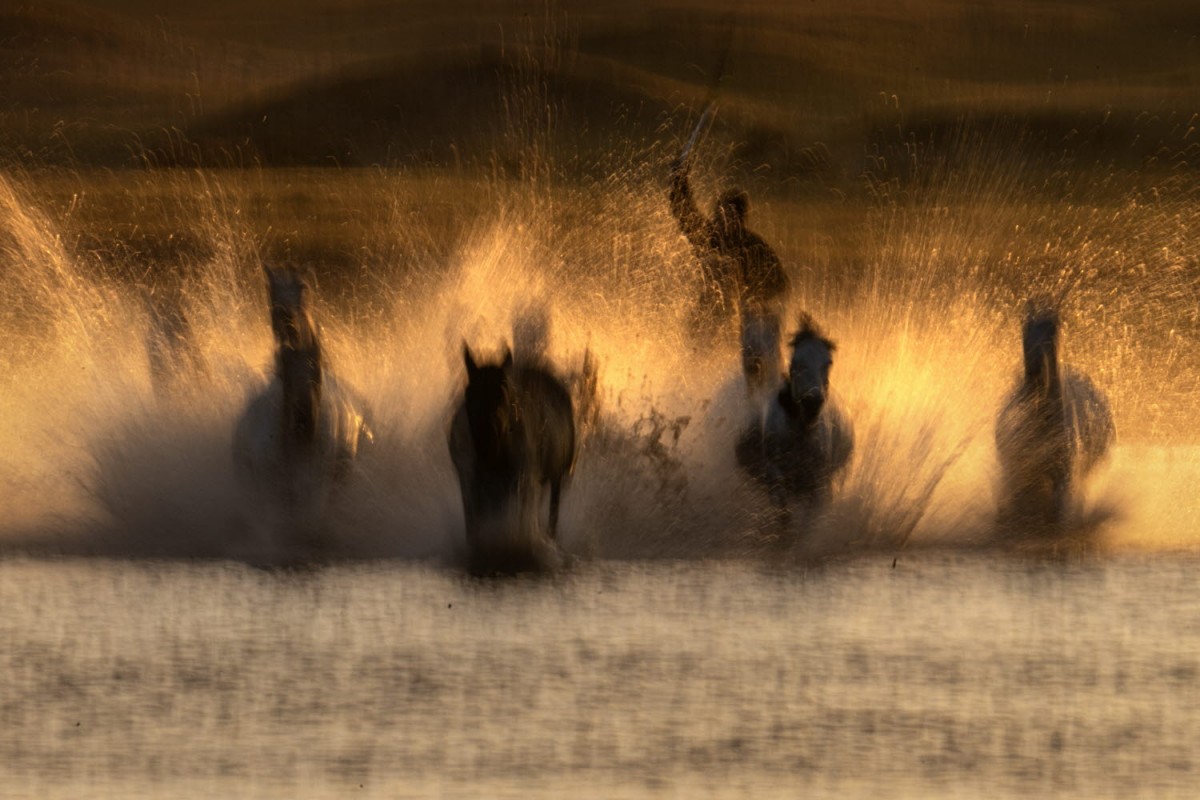 76b63a5c087bf0f90a562478afb0f484_1772471