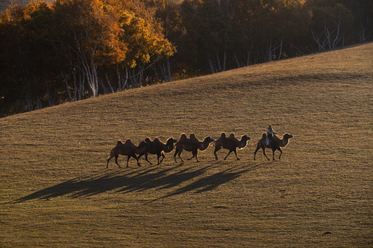 76b63a5c087bf0f90a562478afb0f484_1772471