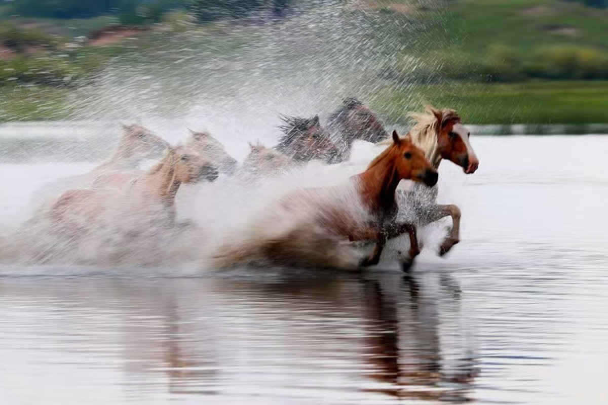 76b63a5c087bf0f90a562478afb0f484_1772471