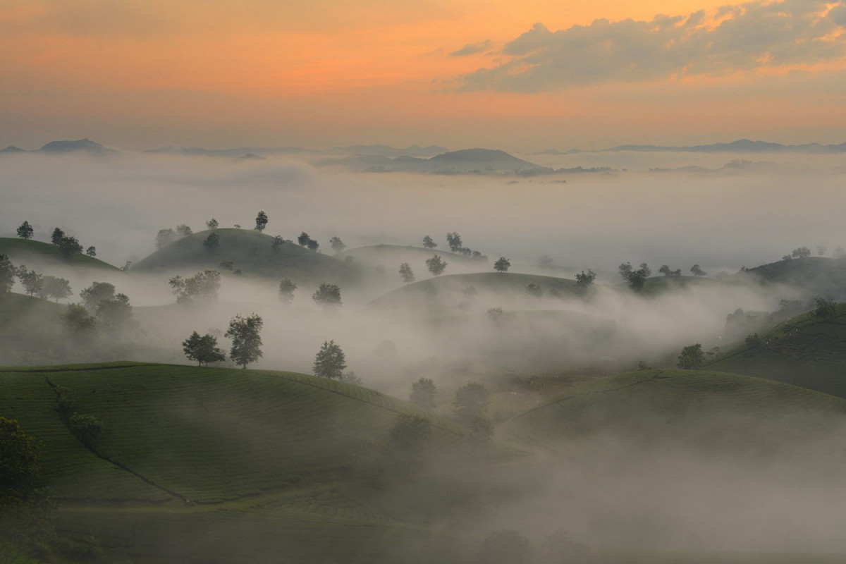 8f49cb61e20378edba53a8198f19c7e6_1772304