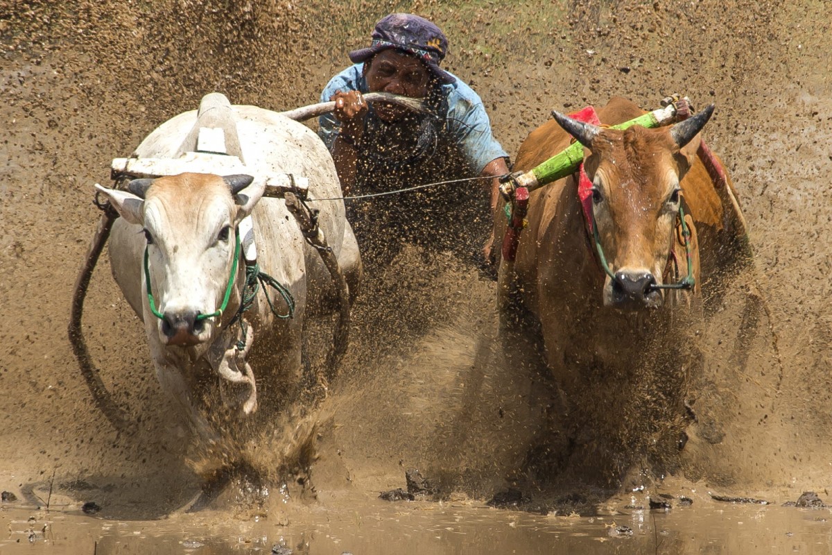 8f49cb61e20378edba53a8198f19c7e6_1772311