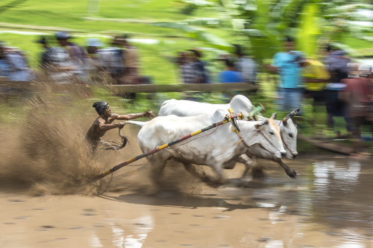 8f49cb61e20378edba53a8198f19c7e6_1772311