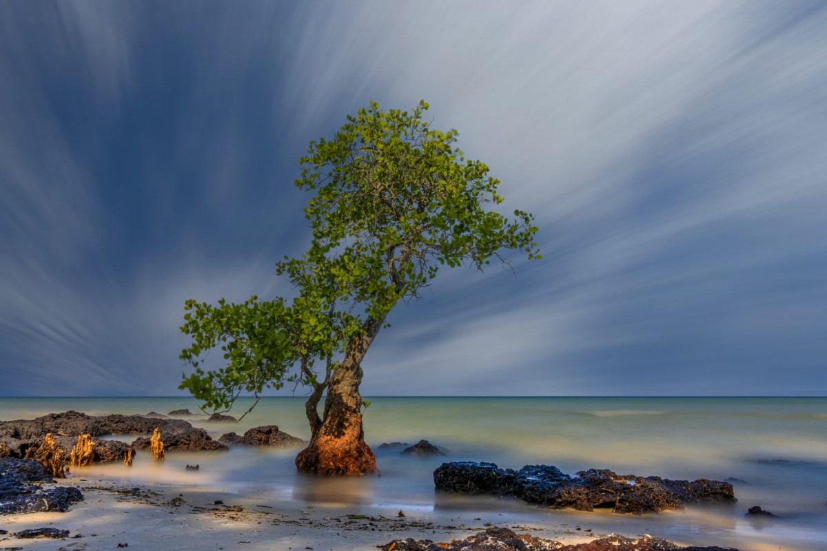 8f49cb61e20378edba53a8198f19c7e6_1772311