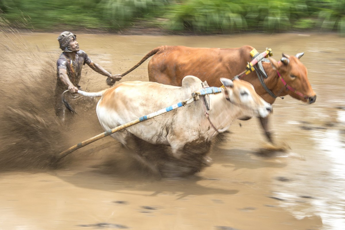 8f49cb61e20378edba53a8198f19c7e6_1772311