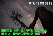 바단지린 사막 & 사막과 호양…